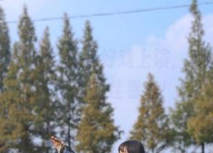 免费好戏上演，150cc黑料当选最佳看点！