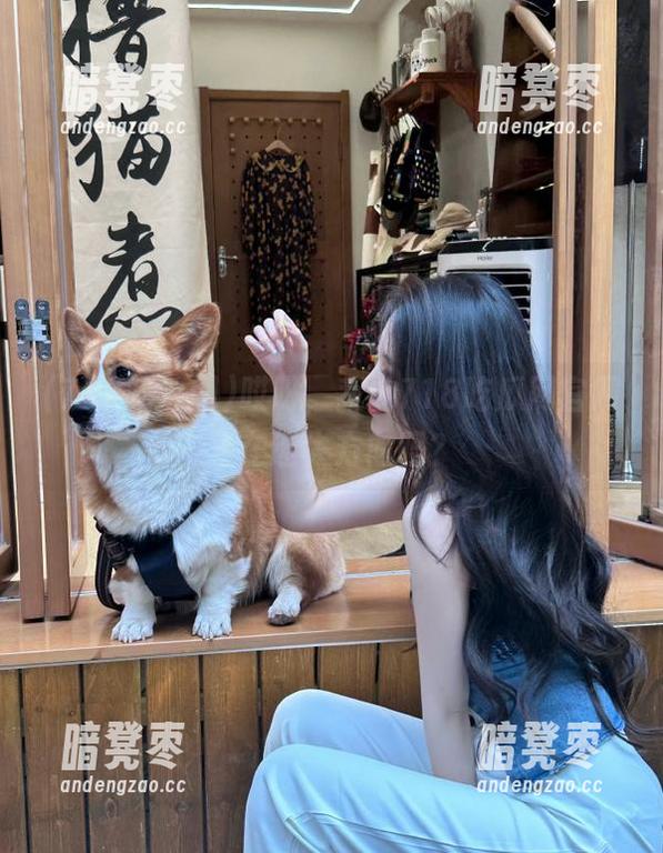 718吃瓜网 哎呀,我的718吃瓜网官网又在迷失方向吗?