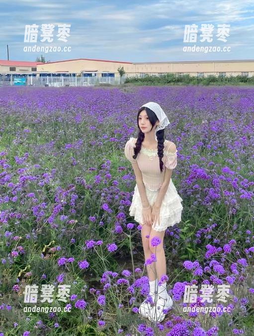 五一吃瓜 五一吃瓜官网,资源多到我有点控制不住我的好奇心!