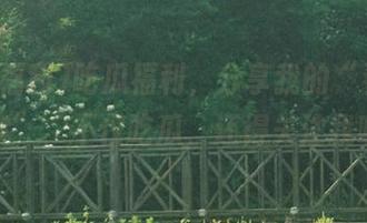 吃瓜福利，分享我的“看客小档案”，不仅吃瓜，还得关注我哦！