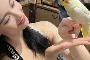 06软萌回归啦，万里长征黑料不打烊苹果版又让人“无奈”了！