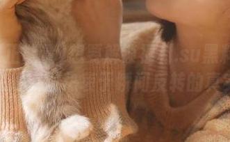想要解锁福利.su黑料正能量？在线交流热衷于瞬间反转的真实感受