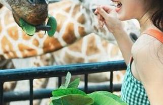 黑料网就是个24小时的瓜田，随时收藏，随时乐开怀～